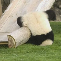 HanSoo - Tác Giả -