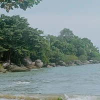 thuận