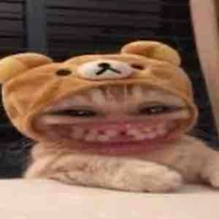 Con tác giả mất nết🌷