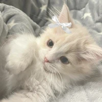 minchon