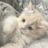 minchon