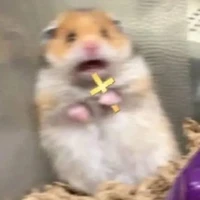 Con chó kêu ò ó o=))