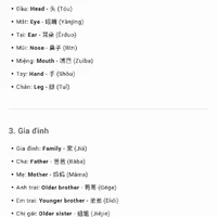 tác giả bận học