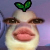 🫧🧸Pé Nhii🎀🫧 (t/g)