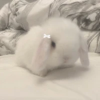 tg rất rất nhạt