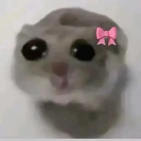 con tg lười siu cấp