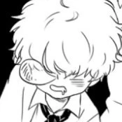 Donquixote Rosinante