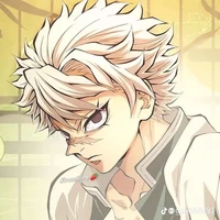 Shinazugawa Sanemi