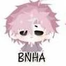 Hiha_BNHÁ