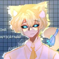 Hiha_Anti catnap