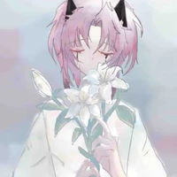 Hiha_Alpha