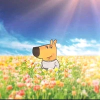 tác giả cute