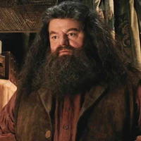 Rubeus Hagrid