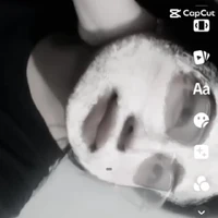 Tacgia