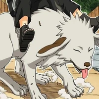 Akamaru