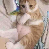 🐜 cùng trí tưởng tượng 🐘 