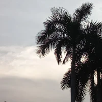 Tác giả: Ánh Ngọc