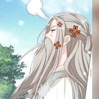 triệu trưởng lão ( trường Minh Tông)