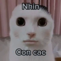 Hệ thống 112 (zin )