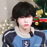 Trần Dịch Hằng -em)