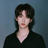Hạ Tuấn Lâm 