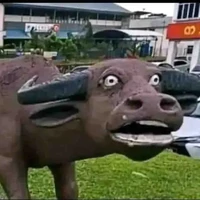 Hệ Thống 010