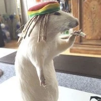 Mọi người(- ai cần trừ)