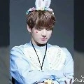 Jeon JungKook ( Kookie)