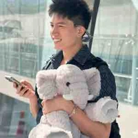 Nguyễn Anh Tú -Anh Tú Voi (1992)