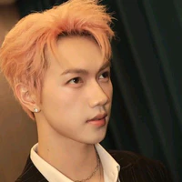 Nguyễn Thái Sơn