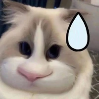 Nhỏ tg