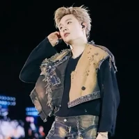 dương domic