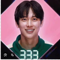 player 333