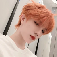 Tô Tân Hạo