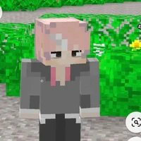 Hiha BNHN