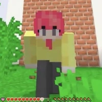 Hiha