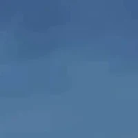 All(tất cả mọi người)