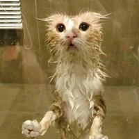 T/G Xồn Làm=))