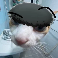 Nikko Ikki
