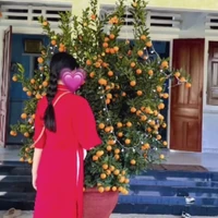 T/g mỏ hỗn😝