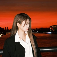 Lưu lực phi _ llf