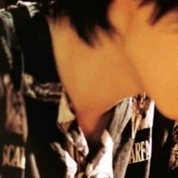 Đinh Phàn Lãnh[17]