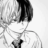 Todoroki Shoto. [Shoto-Alpha]