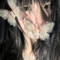 Vương Thiên Tuyết (王天雪)