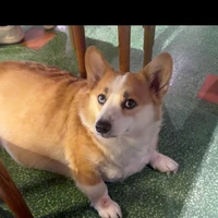 bé sữa[bình gas]