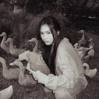 film