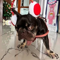Bonbon