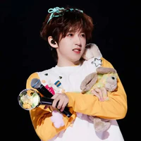 Hạ Tuấn Lâm(HJL)