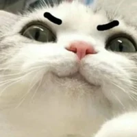 chủ tus