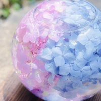 Nhóm bạn của Camelia 